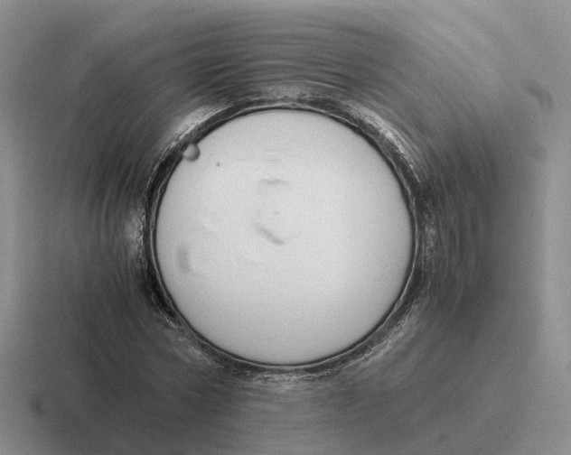 X0000116660778201001041109