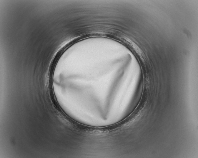 X0000116660779201001041109