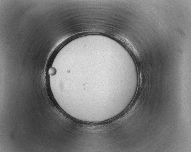 X0000116660780201001041109