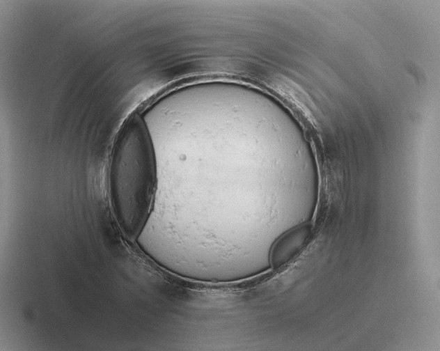 X0000116660781201001041109