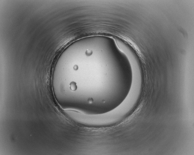 X0000116660785201001041109