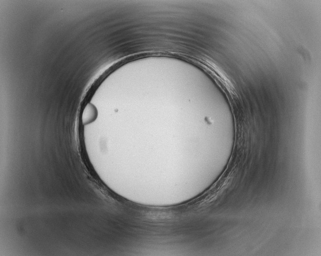 X0000116660788201001041109