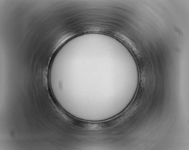 X0000116660794201001041109