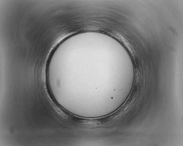 X0000116660795201001041109