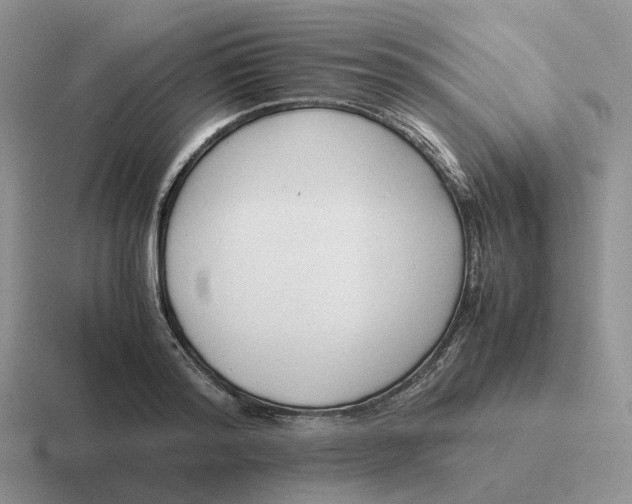 X0000116660796201001041109