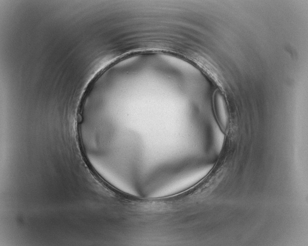 X0000116660797201001041109