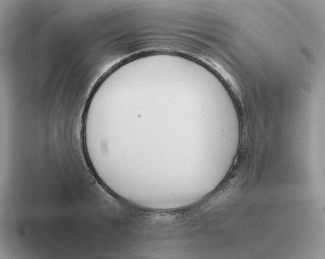 X0000116660799201001041109