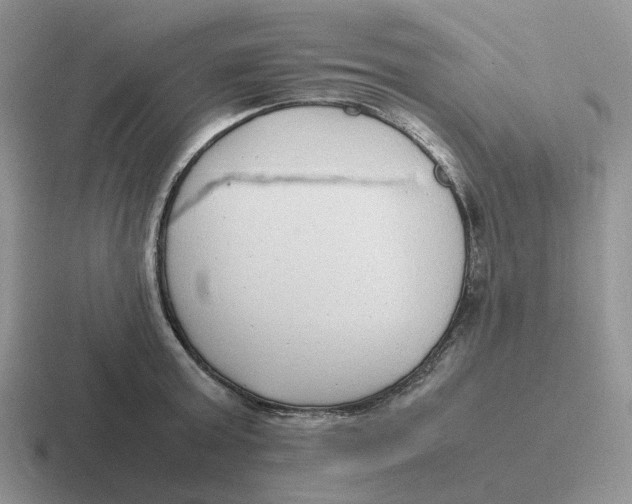 X0000116660803201001041109