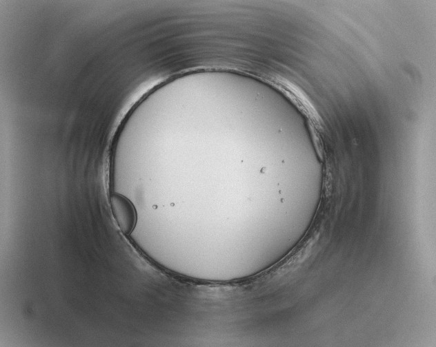 X0000116660804201001041109