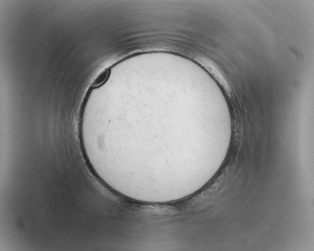 X0000116660805201001041109