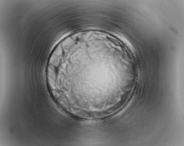 X0000116660806201001041109