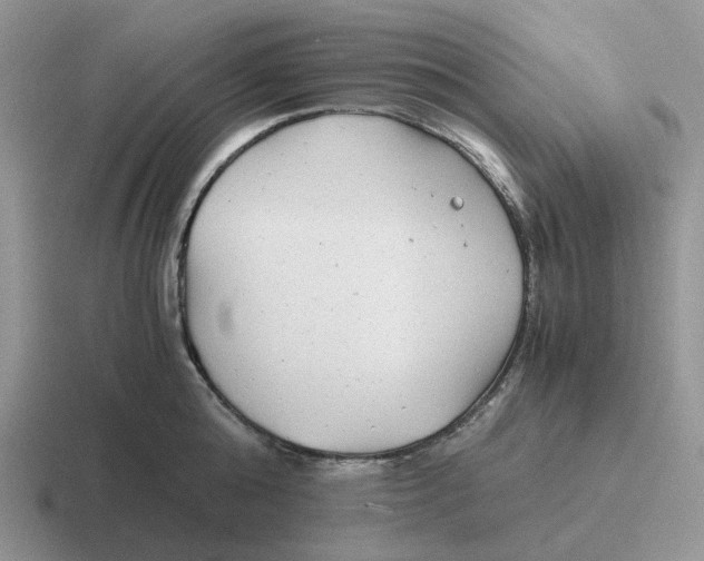 X0000116660808201001041109