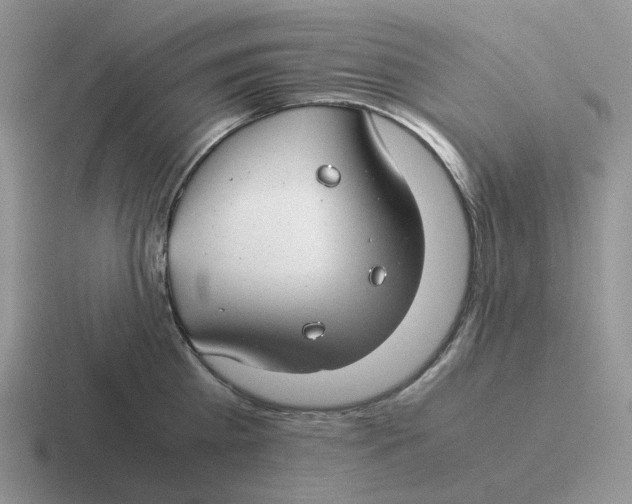 X0000116660809201001041109