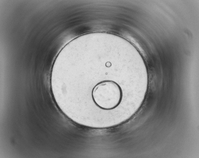 X0000116660810201001041109