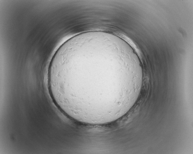 X0000116660811201001041109