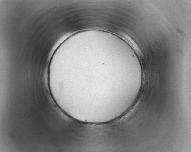 X0000116660812201001041109