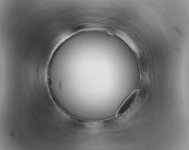 X0000116660813201001041109