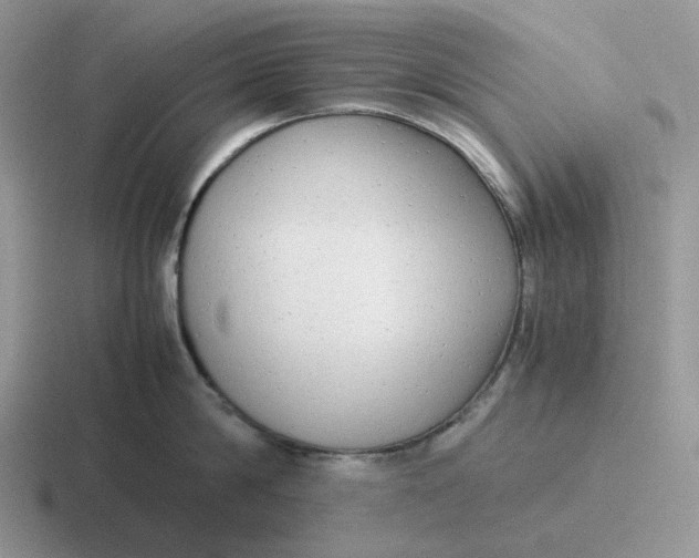 X0000116660814201001041109