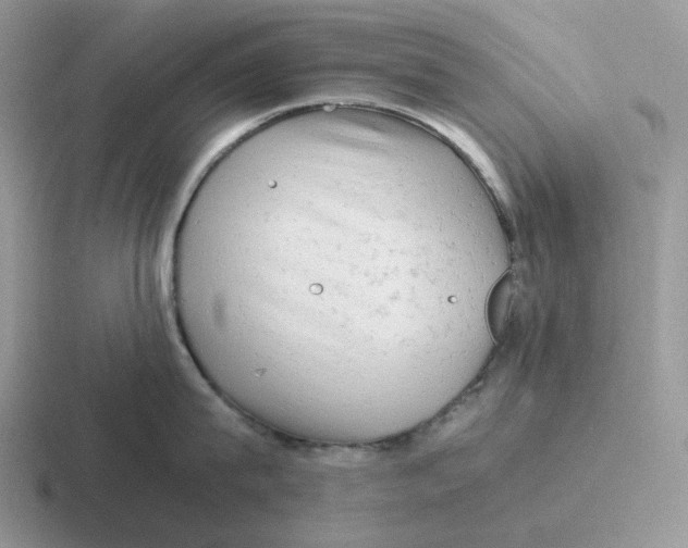 X0000116660815201001041109