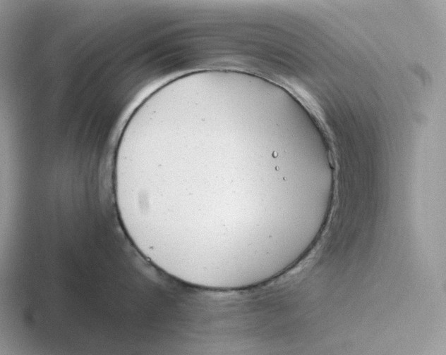 X0000116660816201001041109