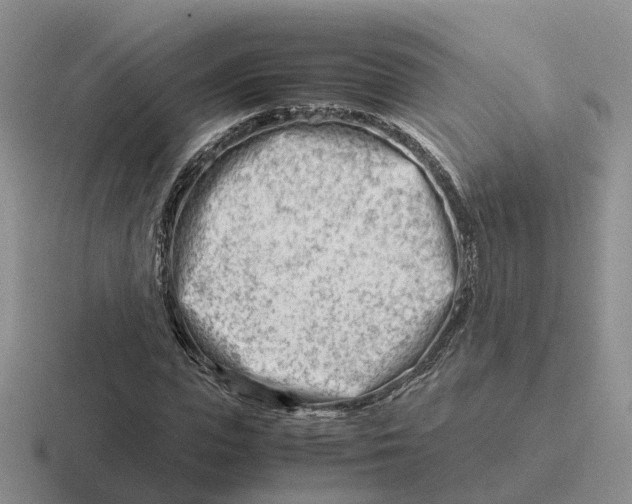 X0000116660823201001041108