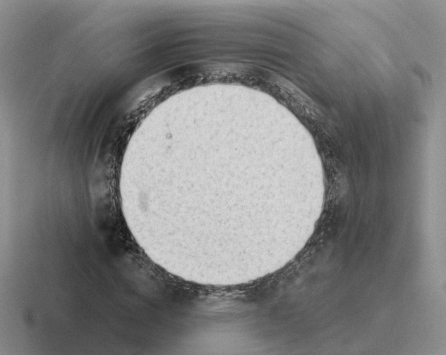 X0000116660824201001041108