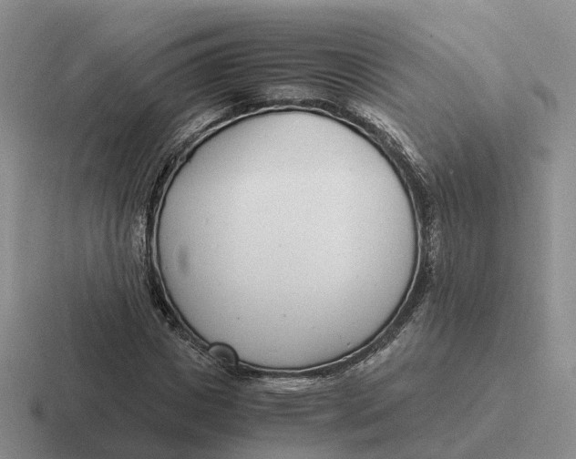 X0000116660825201001041108