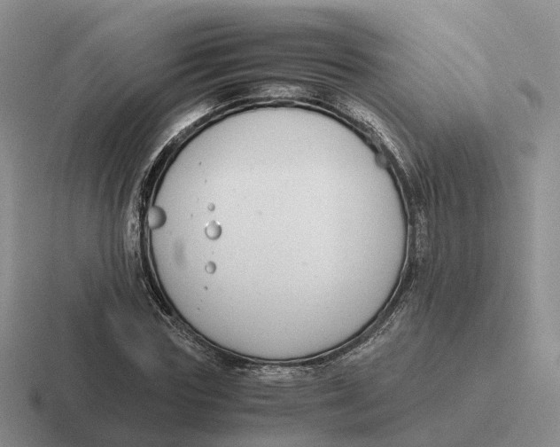 X0000116660827201001041108