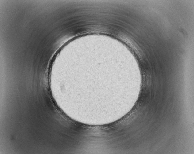 X0000116660828201001041108