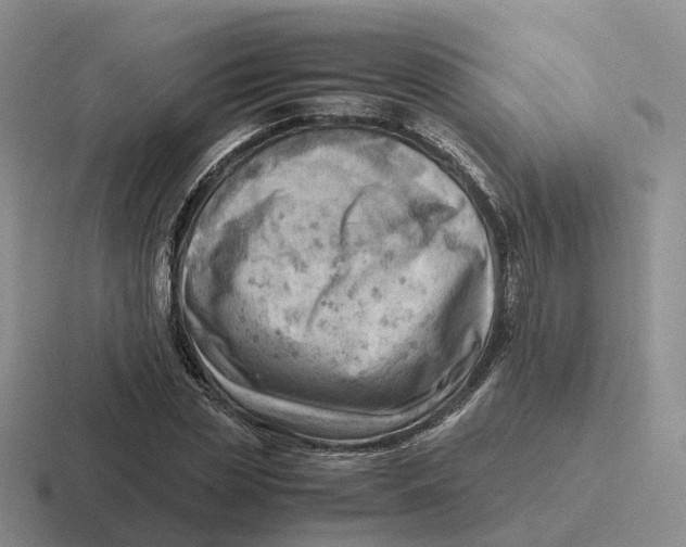 X0000116660829201001041108