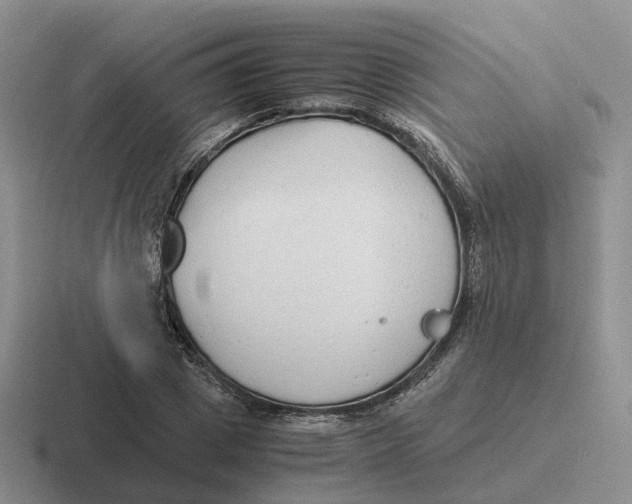 X0000116660833201001041108