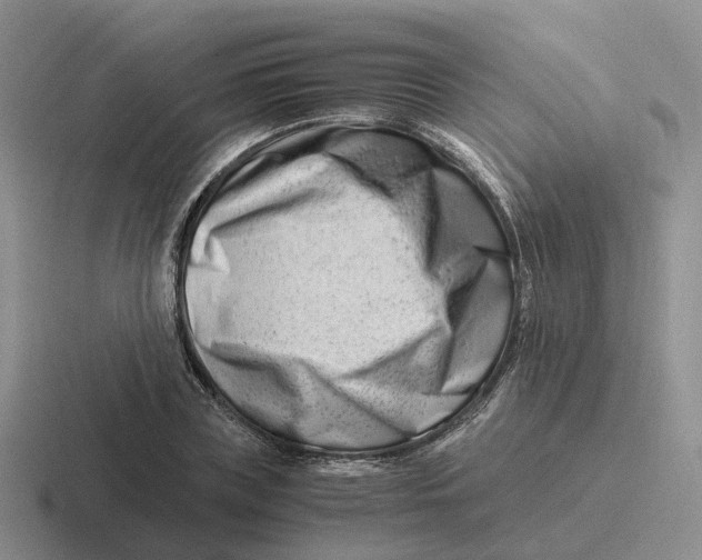 X0000116660835201001041108