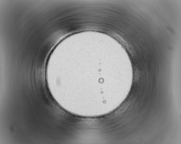 X0000116660836201001041108