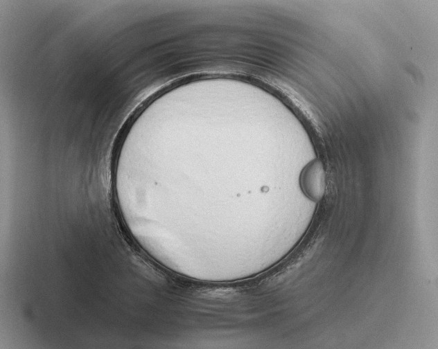 X0000116660837201001041108