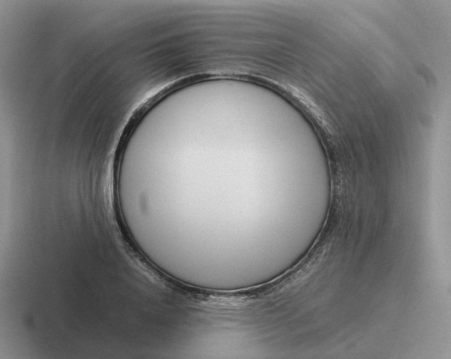 X0000116660840201001041108