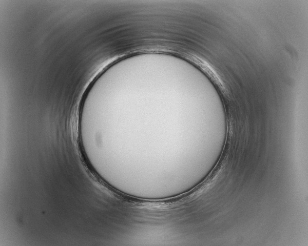 X0000116660844201001041108