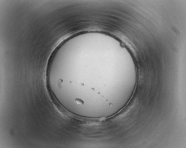 X0000116660845201001041108