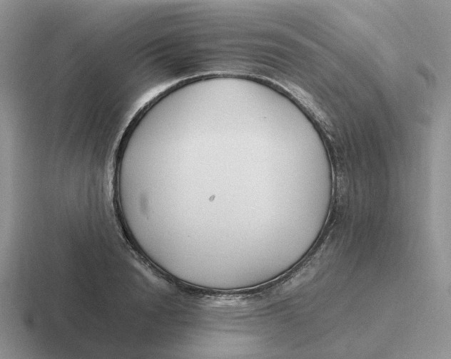 X0000116660846201001041108