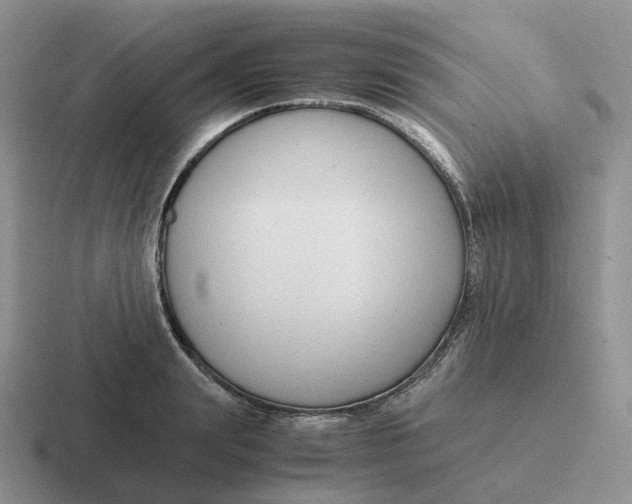 X0000116660847201001041108