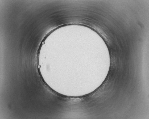 X0000116660848201001041108