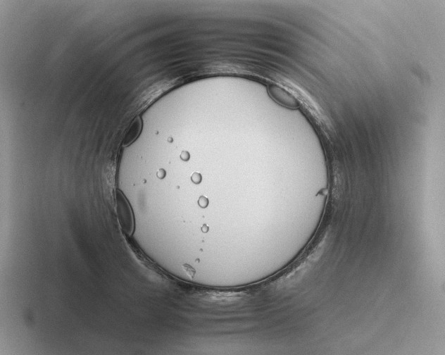 X0000116660849201001041108