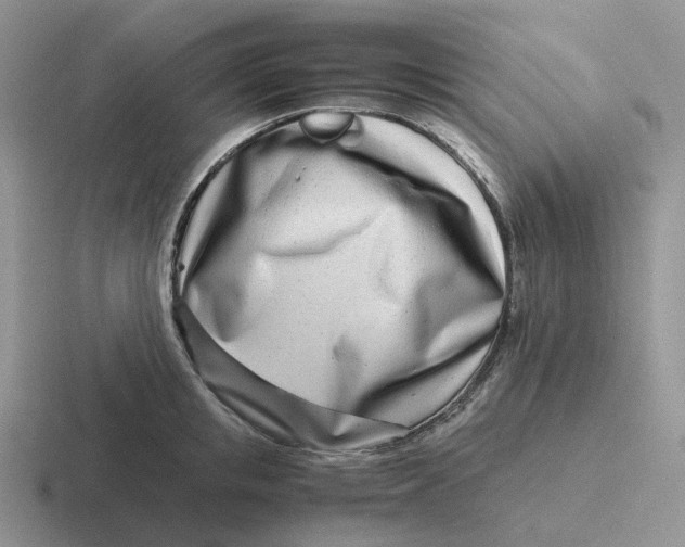 X0000116660853201001041108