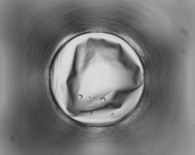 X0000116660854201001041108