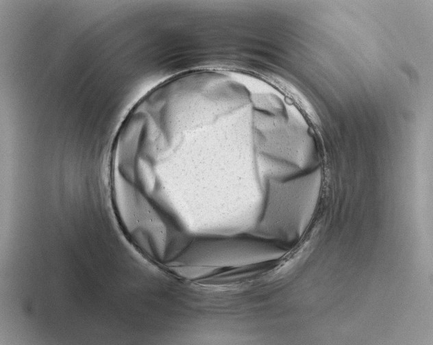 X0000116660855201001041108