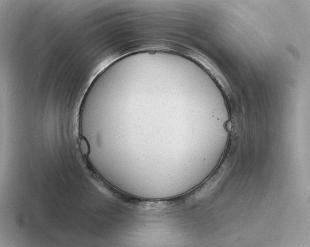 X0000116660858201001041108