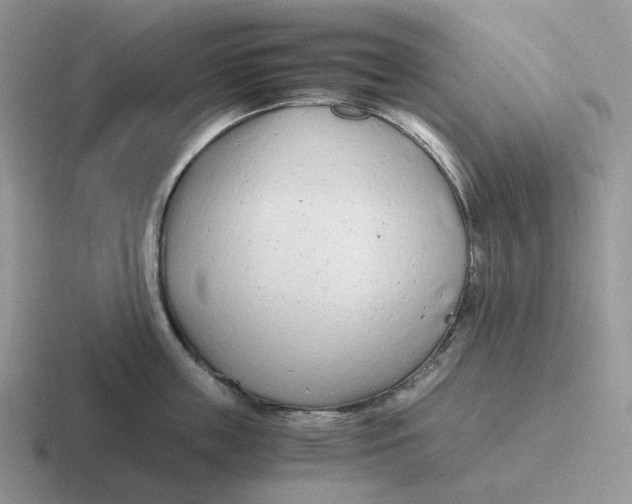 X0000116660859201001041108