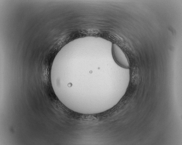 X0000116660866201001041108