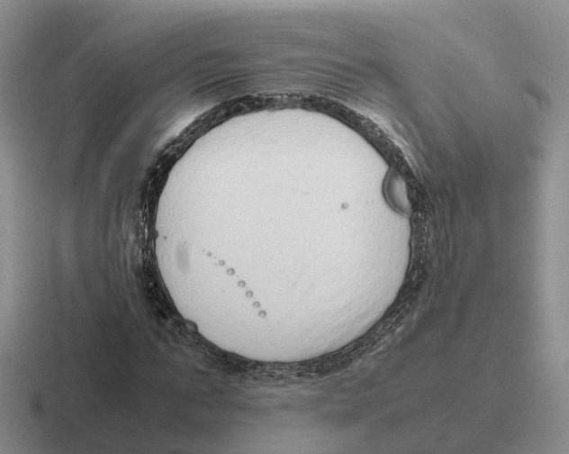 X0000116660871201001041108