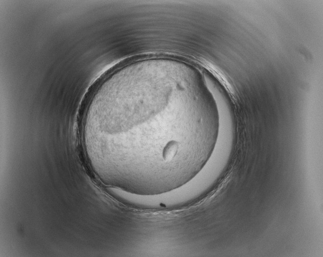 X0000116660876201001041108