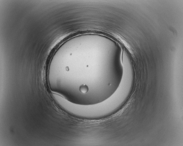 X0000116660877201001041108